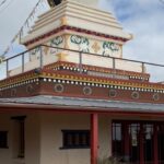 Vibrant-Healthy-Living-de-tong-ling-kangaroo-island